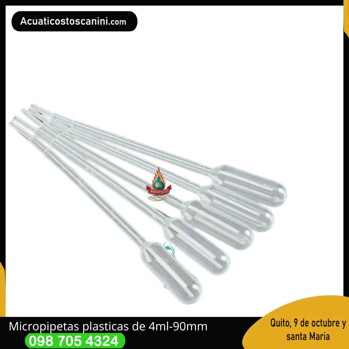 Pipeta Descartable de 4ml- 90mm